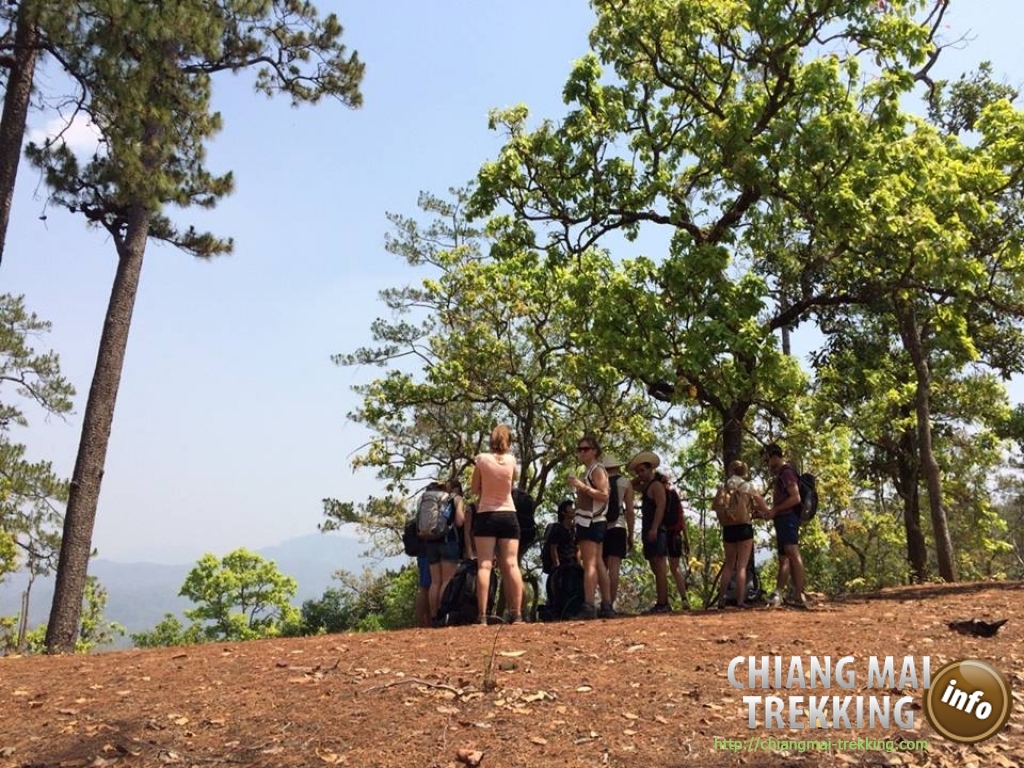 Wonderful 3-days/2-nights trekking | Chiang Mai Trekking | Le meilleur trekking &agrave; Chiang Mai avec Piroon Nantaya